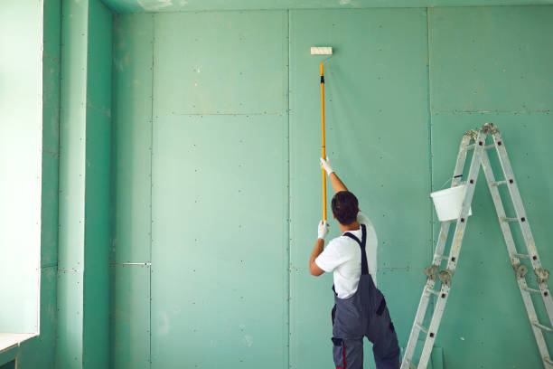 Best Mold Odor Removal Services  in Wharton, TX