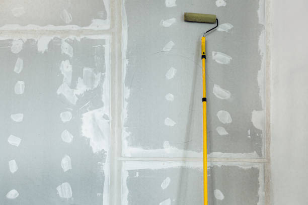 Forensic Mold Investigation in Wharton, TX
