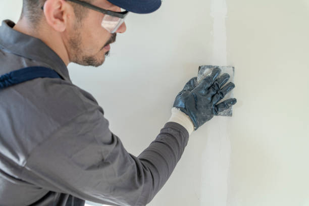 Best Basement Mold Removal  in Wharton, TX
