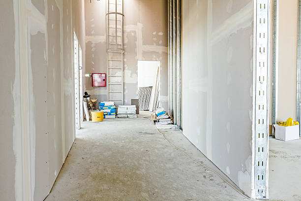 Wharton, TX Mold Removal Company